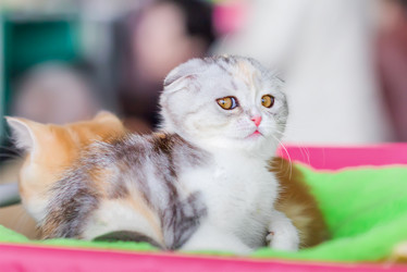 Similar image 21283074