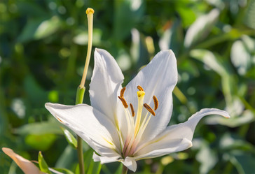 Similar image 21283077