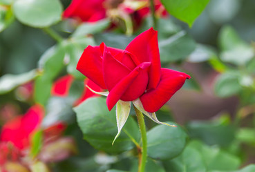 Similar image 21283080