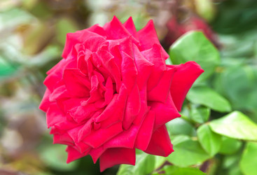 Similar image 21283447