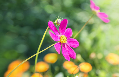 Similar image 21283452