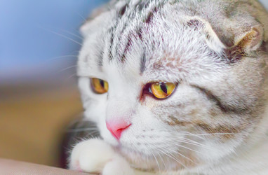 Similar image 21282701