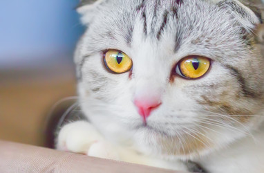 Similar image 21282702