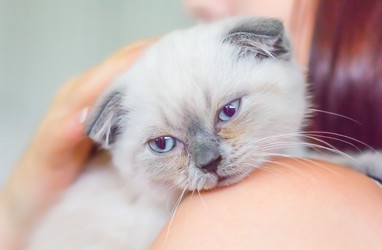 Similar image 21282704