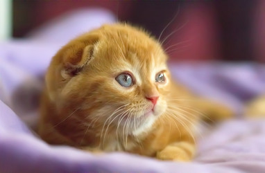 Similar image 21282705