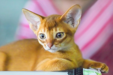 Similar image 21282706