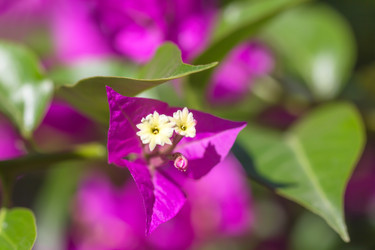 Similar image 21282881