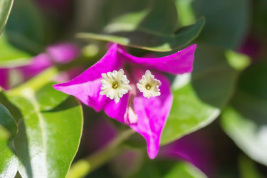 Similar image 21282882