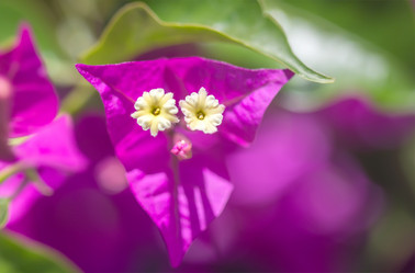 Similar image 21282883