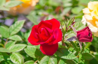 Similar image 21282884