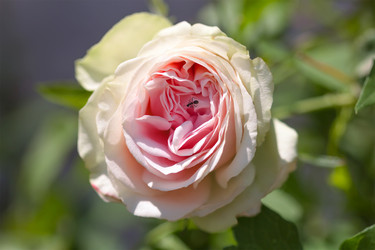 Similar image 21282886