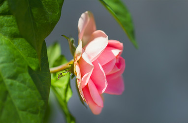 Similar image 21282887