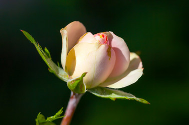 Similar image 21282888