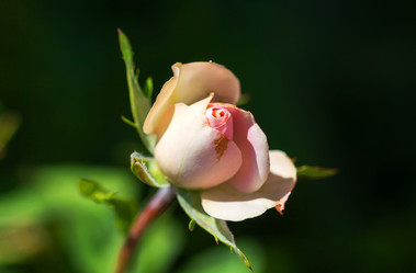 Similar image 21282889