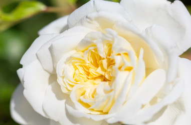 Similar image 21282891