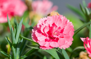 Similar image 21282893