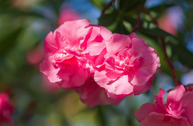 Similar image 21282894