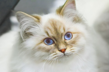 Similar image 21283206