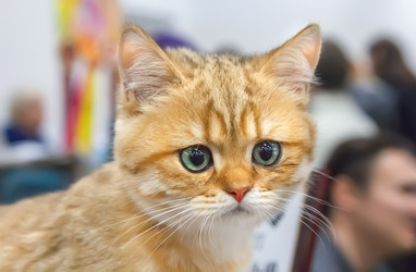 Similar image 21283207