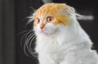 Similar image 21283208