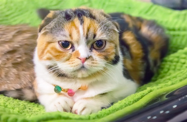 Similar image 21282895