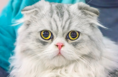 Similar image 21282899