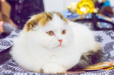 Similar image 21282900