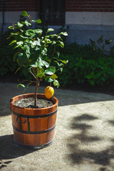 Similar image 21276357