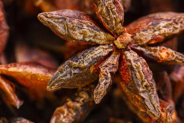 Similar image 21276384