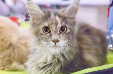 Similar image 21282901