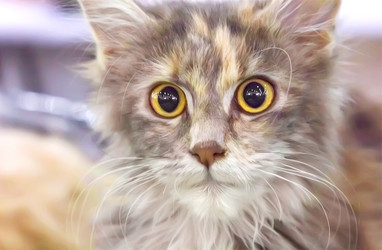 Similar image 21282902