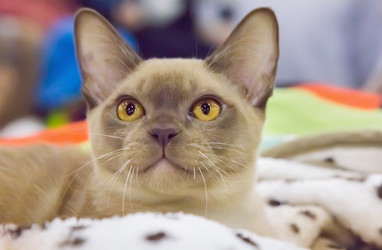 Similar image 21282903