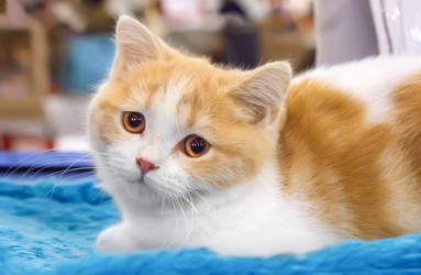 Similar image 21282904