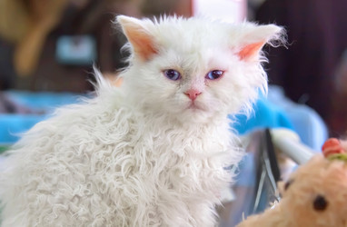 Similar image 21282909