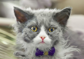 Similar image 21282910