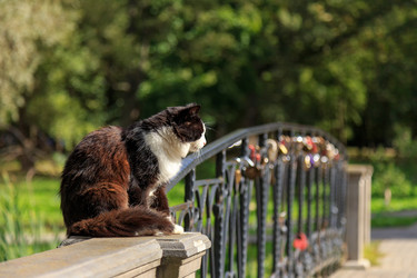 Similar image 21290698