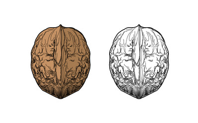 Similar image 21279253