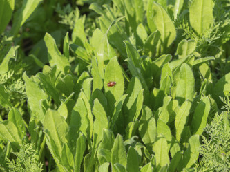 Similar image 21268435