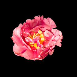 Similar image 21268437