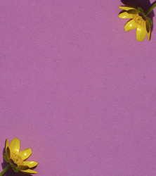 Similar image 21268438