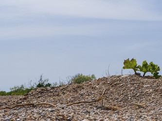 Similar image 21268439