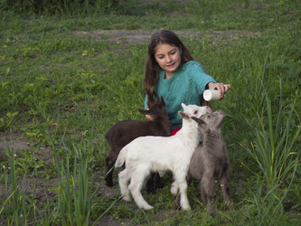 Similar image 21268441