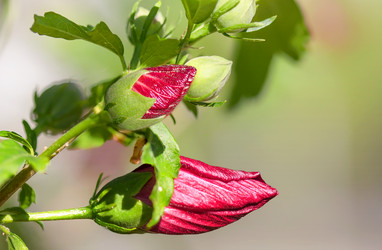 Similar image 21283365