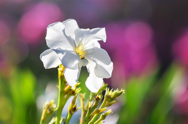 Similar image 21283366