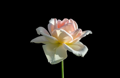 Similar image 21283367