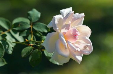 Similar image 21283368