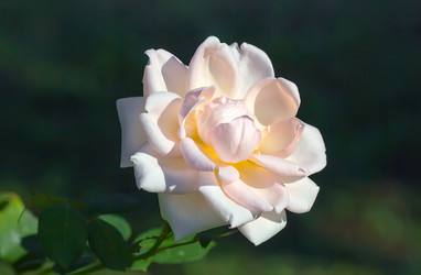 Similar image 21283369