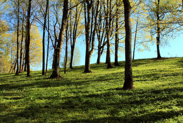 Similar image 21267265