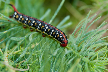 Similar image 21287785