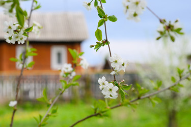 Similar image 21278729